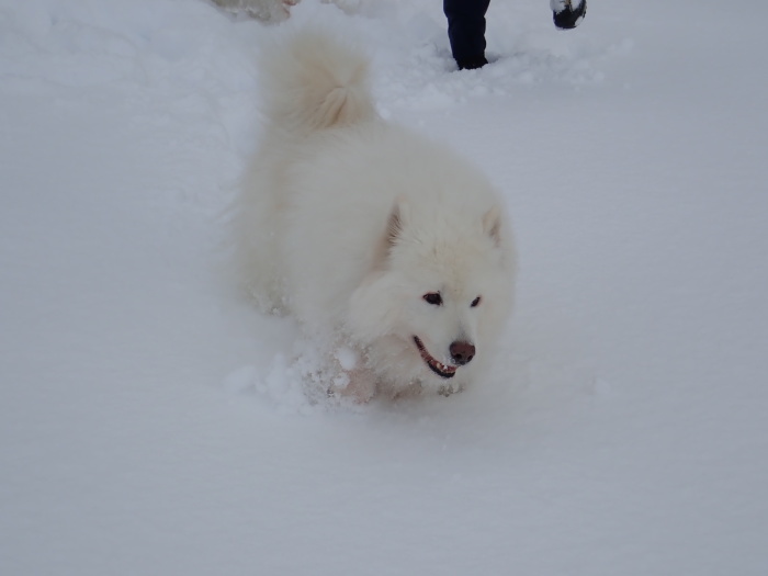 今シーズン初の雪遊び♪ 1_a0049296_18321593.jpg