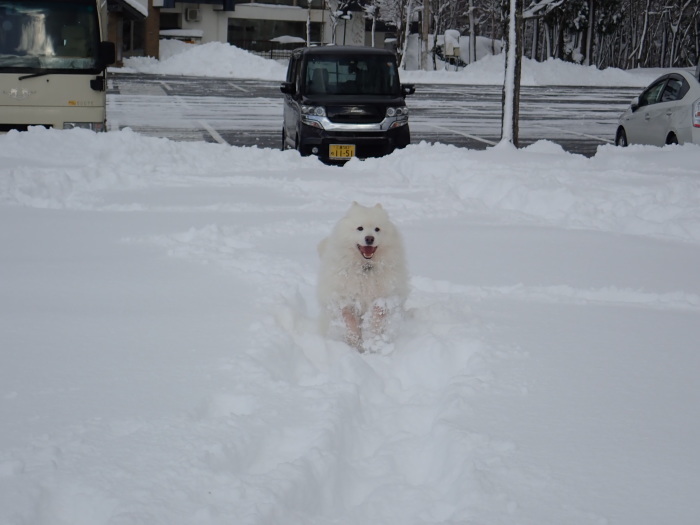 今シーズン初の雪遊び♪ 1_a0049296_18330697.jpg