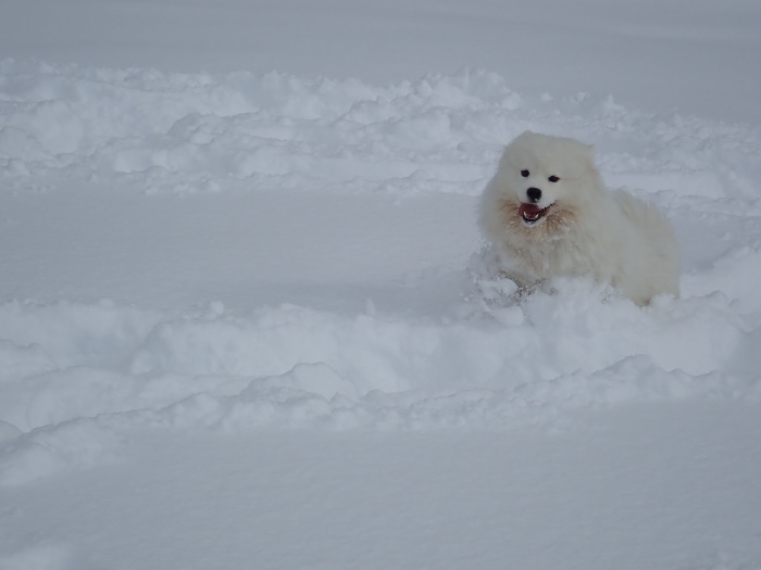 今シーズン初の雪遊び♪ 1_a0049296_18421790.jpg