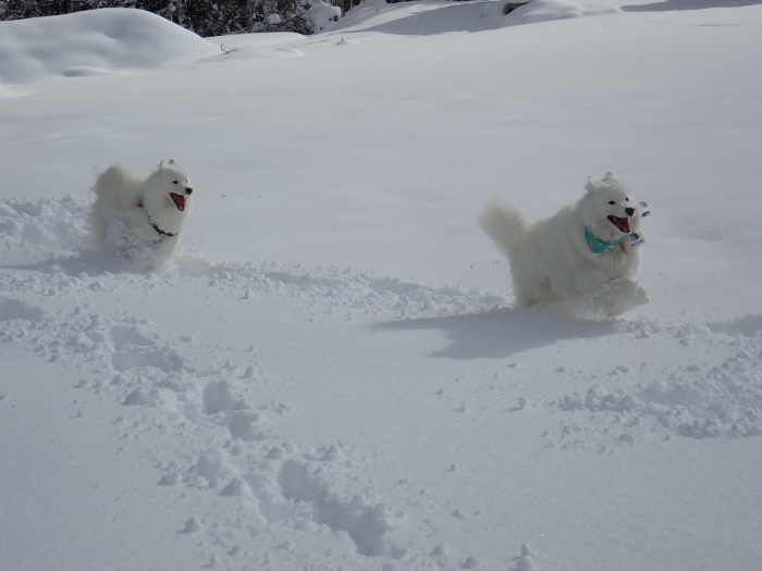 今シーズン初の雪遊び♪ 1_a0049296_18484378.jpg