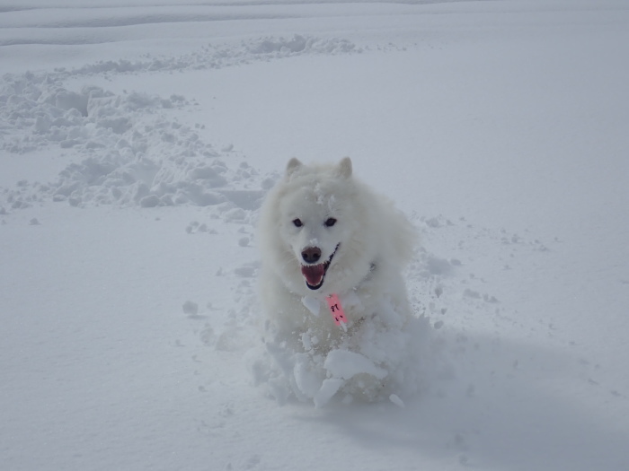 今シーズン初の雪遊び♪ 1_a0049296_18502843.jpg