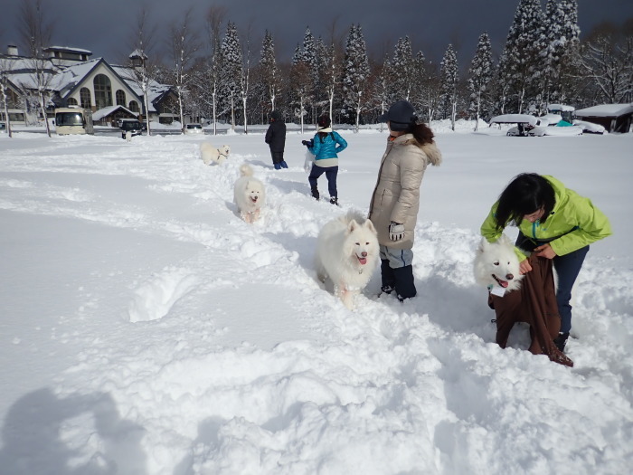 今シーズン初の雪遊び♪ 1_a0049296_18510724.jpg