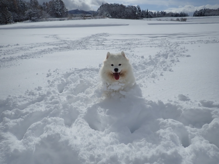 今シーズン初の雪遊び♪ 1_a0049296_18513897.jpg