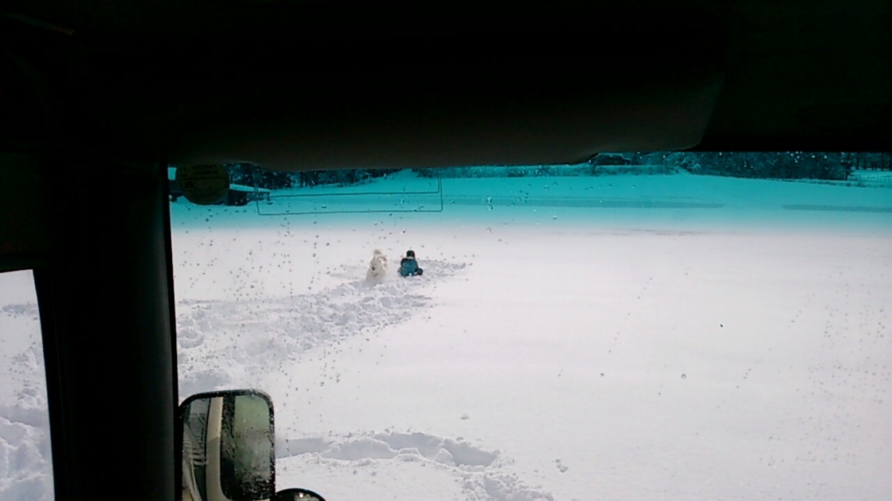 今シーズン初の雪遊び♪ 1_a0049296_20291402.jpg