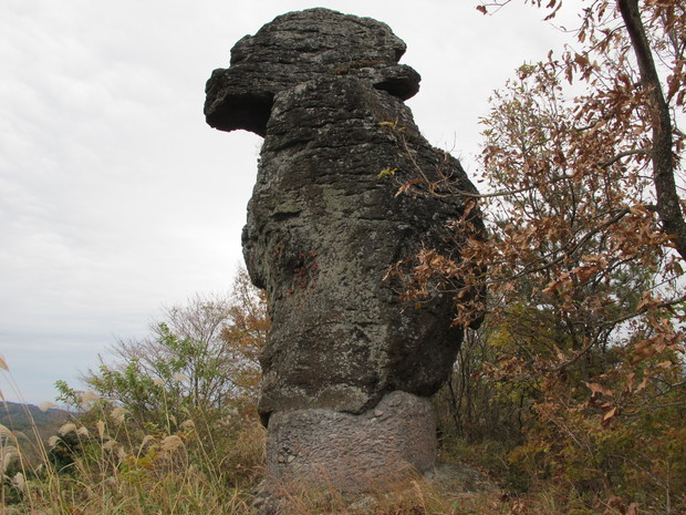 a0166196_1640489.jpg