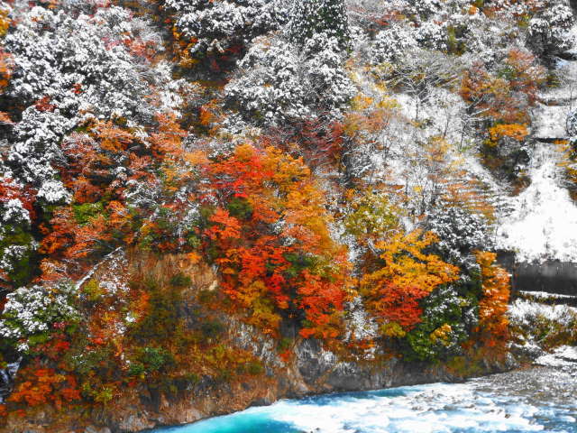 黒部市 宇奈月温泉で雪見紅葉♪_e0187697_00300567.jpg