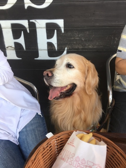 ソラくん頑張って!_b0275998_10473958.jpeg