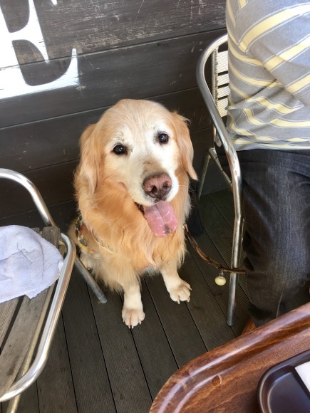 ソラくん頑張って!_b0275998_10492392.jpeg