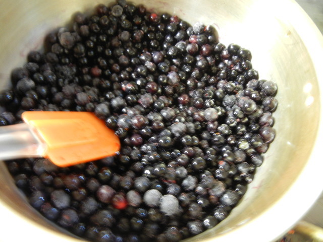 c0361298_21581837.jpg