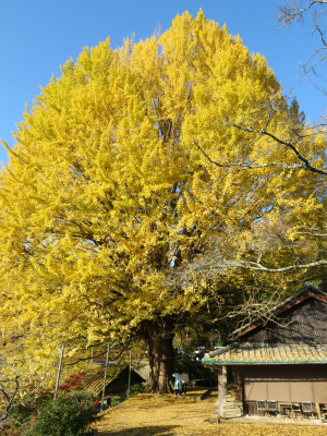 c0125501_22084689.jpg