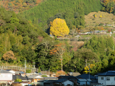 c0125501_22090324.jpg