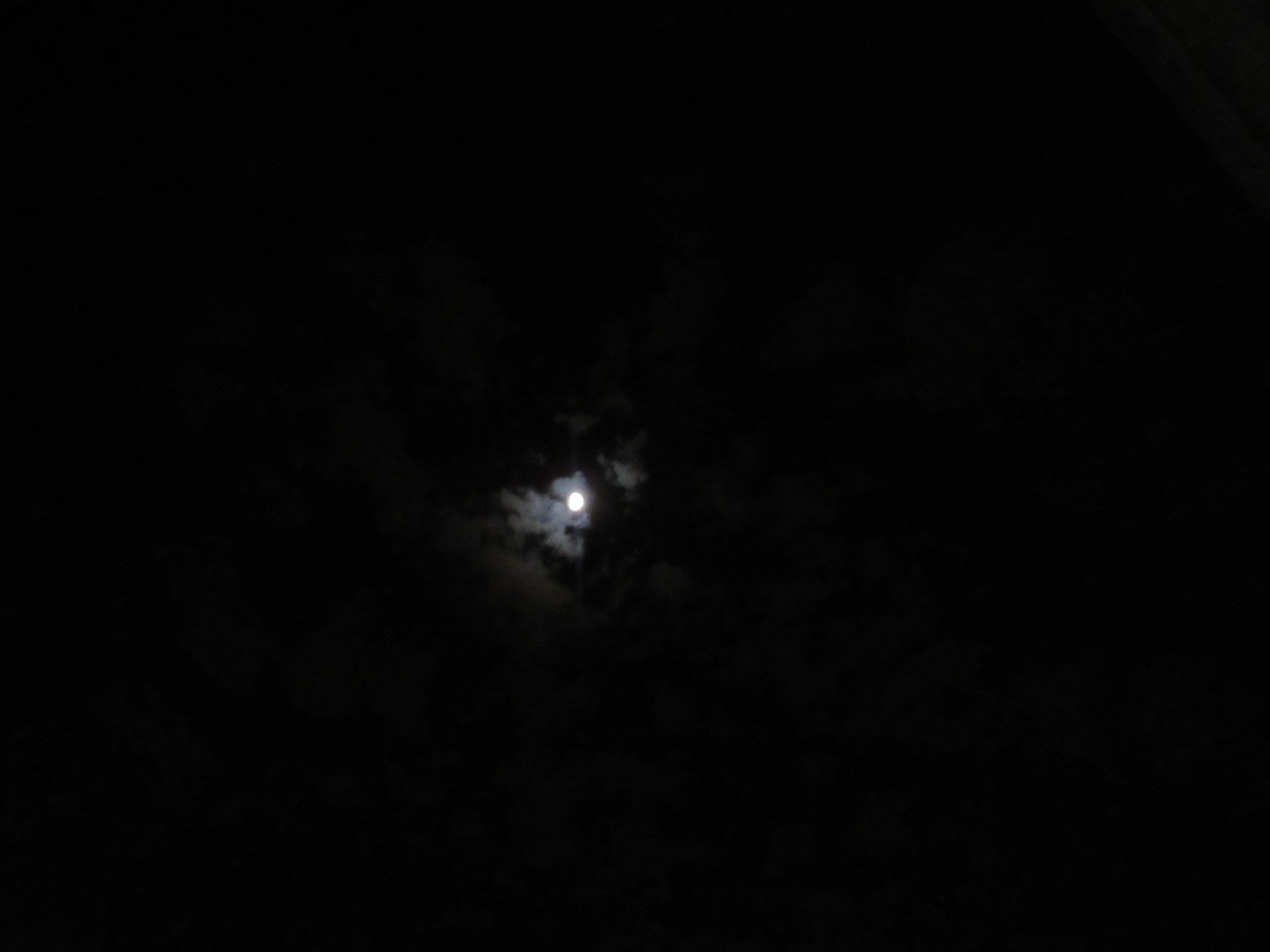 a0203003_22064958.jpg