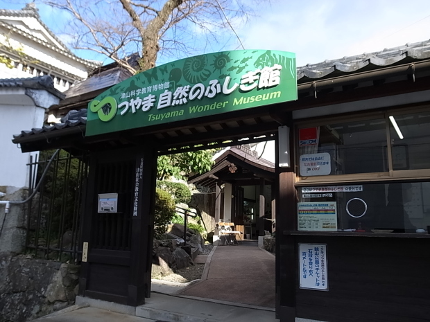 つやま自然のふしぎ館~誕生寺_f0197703_11143797.jpg