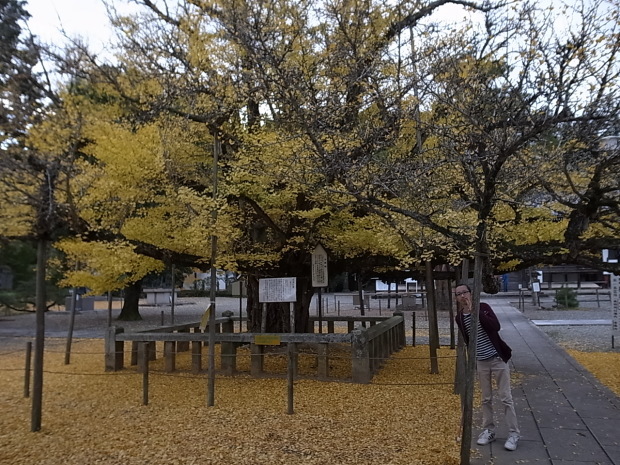つやま自然のふしぎ館~誕生寺_f0197703_11251243.jpg