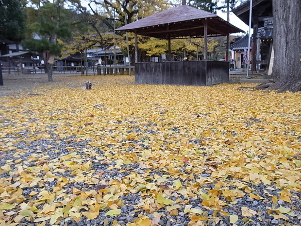 つやま自然のふしぎ館～誕生寺_f0197703_11270435.jpg