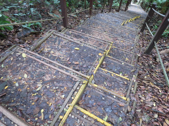 c0212604_212571.jpg