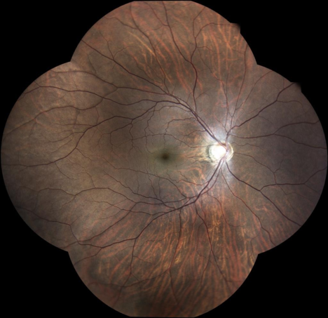 d0131804_2022537.png