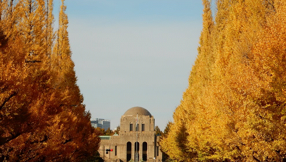 f0231709_23482774.gif