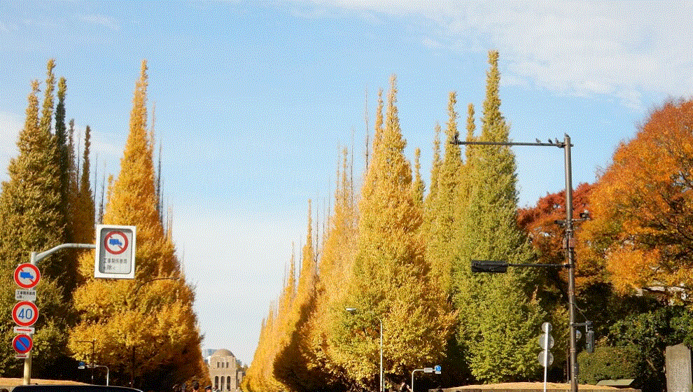 f0231709_23493119.gif