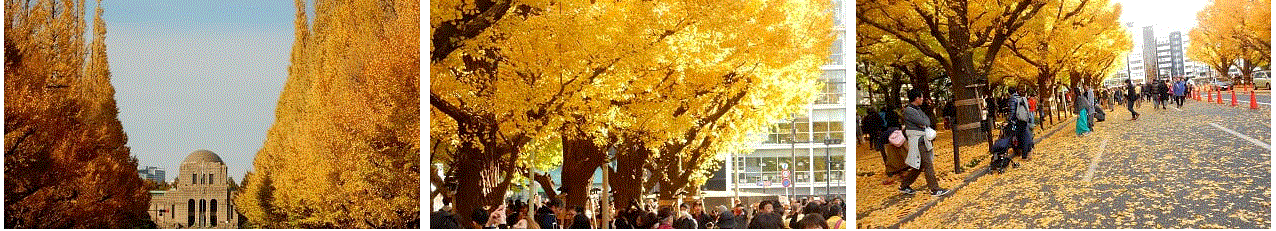 f0231709_23503656.gif
