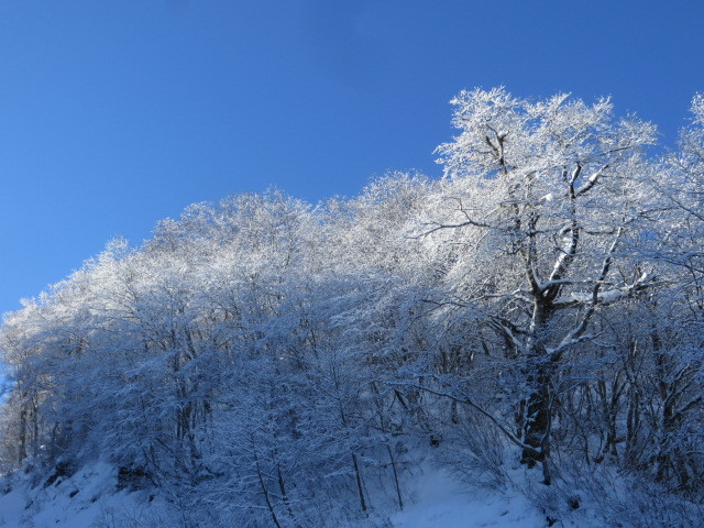 d0351213_19225517.jpg