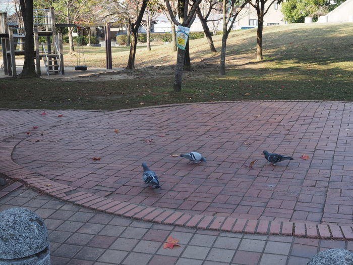 佐伯区民文化センター＆五日市中央公園_c0116915_23424848.jpg
