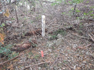 c0359615_22171406.jpg