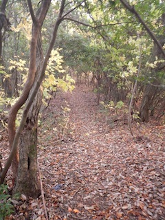 c0359615_22172403.jpg