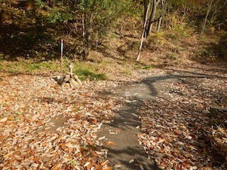 c0359615_22200098.jpg