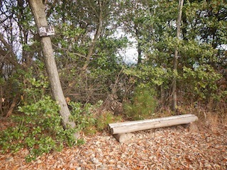 c0359615_22204986.jpg