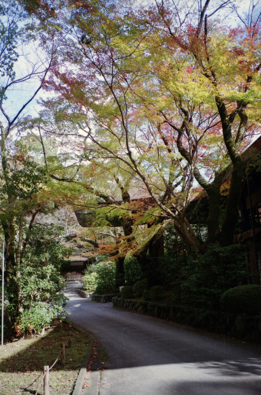 c0176622_12505721.jpg