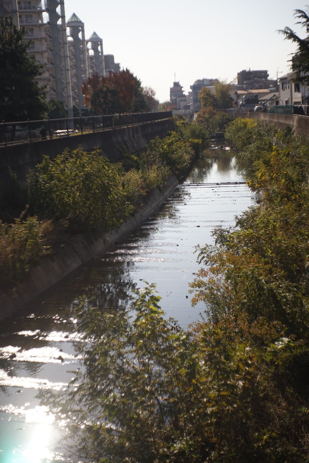 b0069128_1052451.jpg