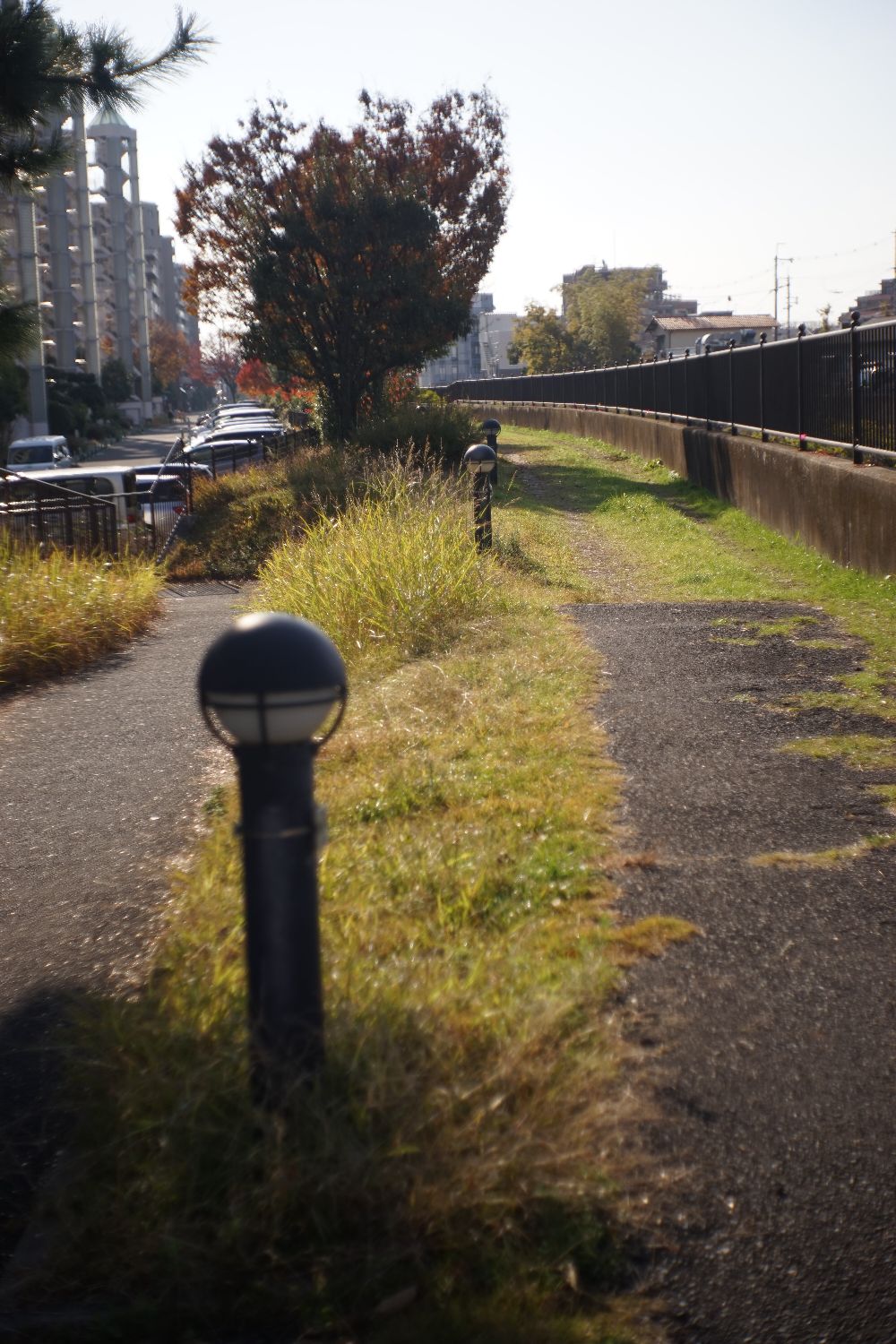 b0069128_10573115.jpg