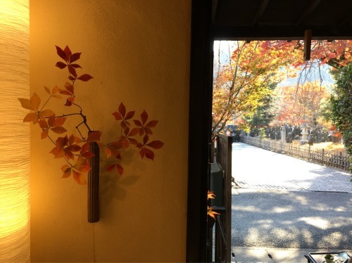 秋日和の京都です_a0197730_14170226.jpg