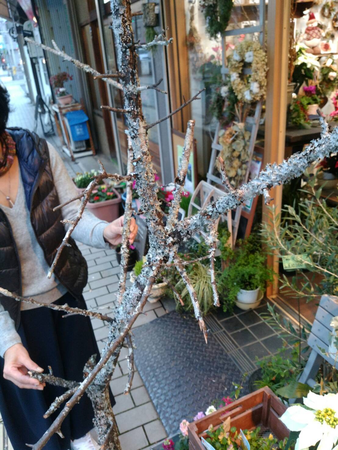 c0103830_19043620.jpeg