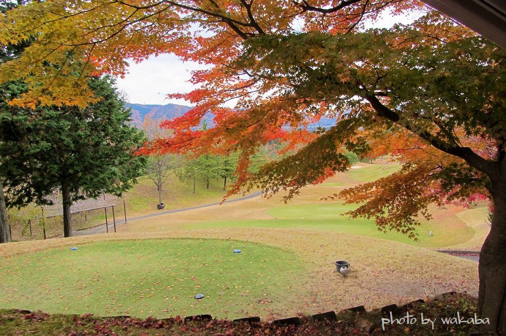 ゴルフ場の綺麗な紅葉をポケデジ撮影(^^♪_e0052135_21432613.jpg