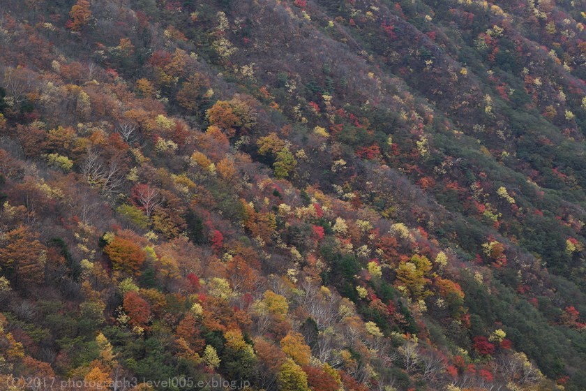 e0362037_21100556.jpg