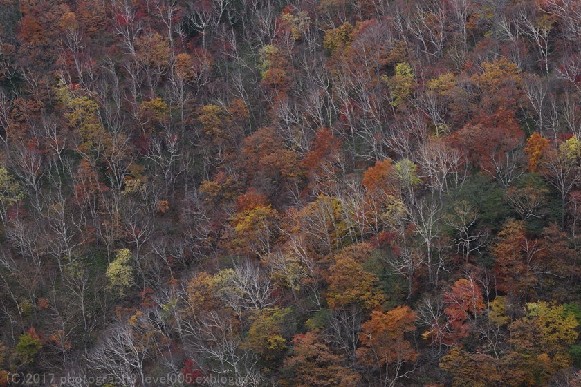 e0362037_21101142.jpg