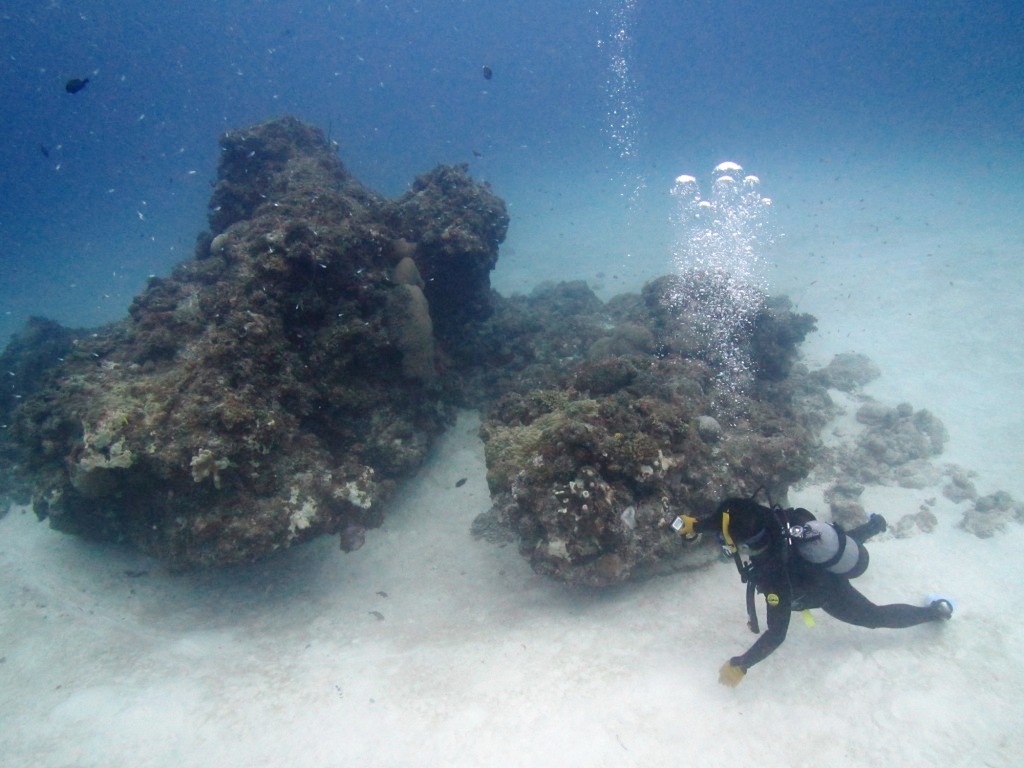 a0189838_07485316.jpg