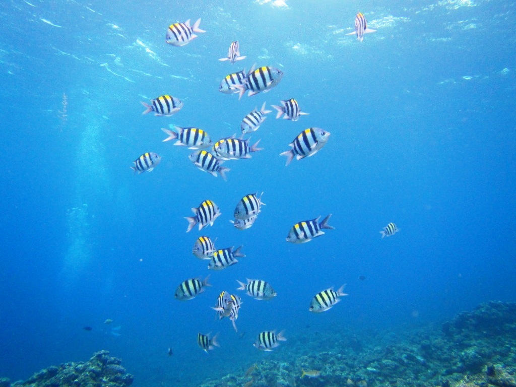 a0189838_08000991.jpg
