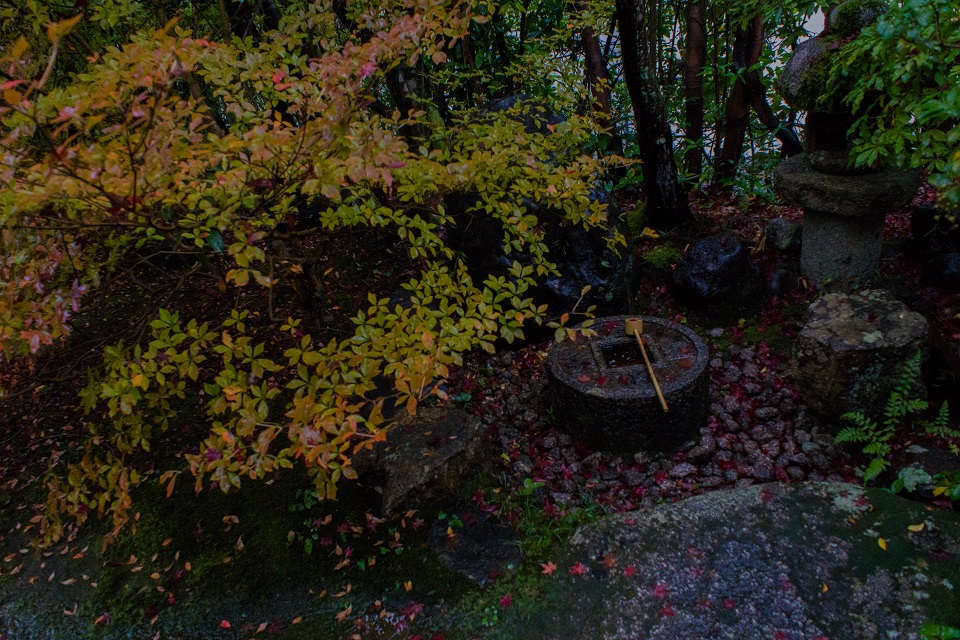 e0363038_9544889.jpg