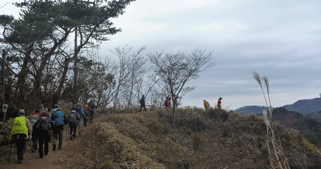 e0371039_72989.gif
