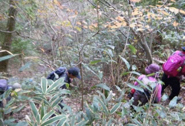 e0371039_7305984.gif