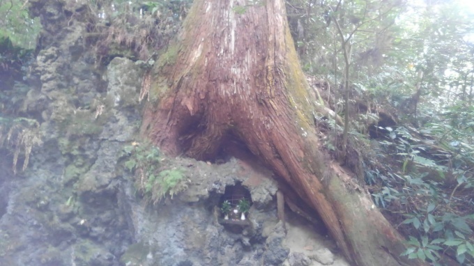 f0210439_21404527.jpg