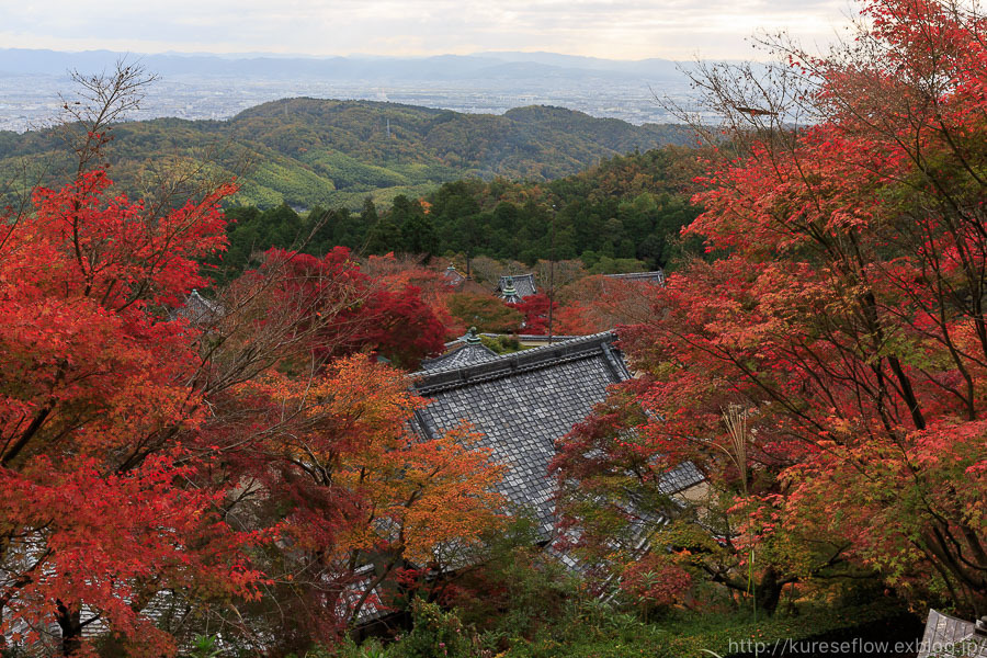 紅葉の善峯寺_b0325840_23431677.jpg