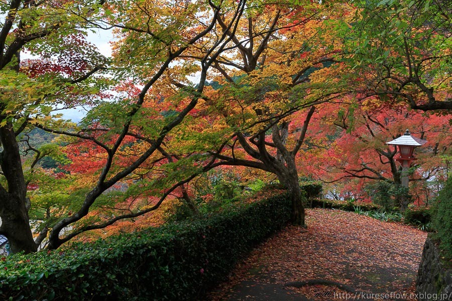 紅葉の善峯寺_b0325840_23433915.jpg