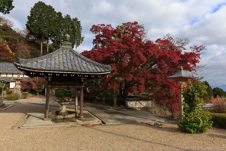 紅葉の善峯寺_b0325840_23453903.jpg