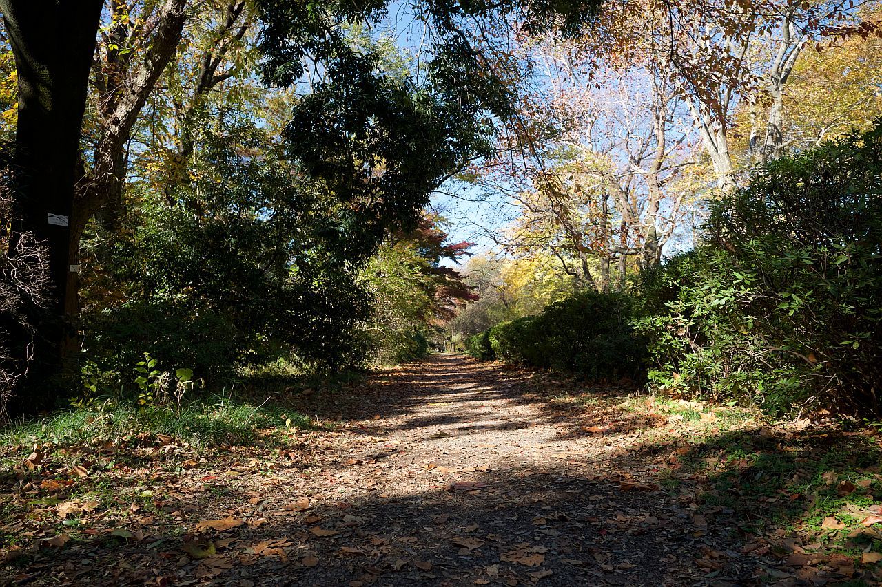 b0212342_13164546.jpg