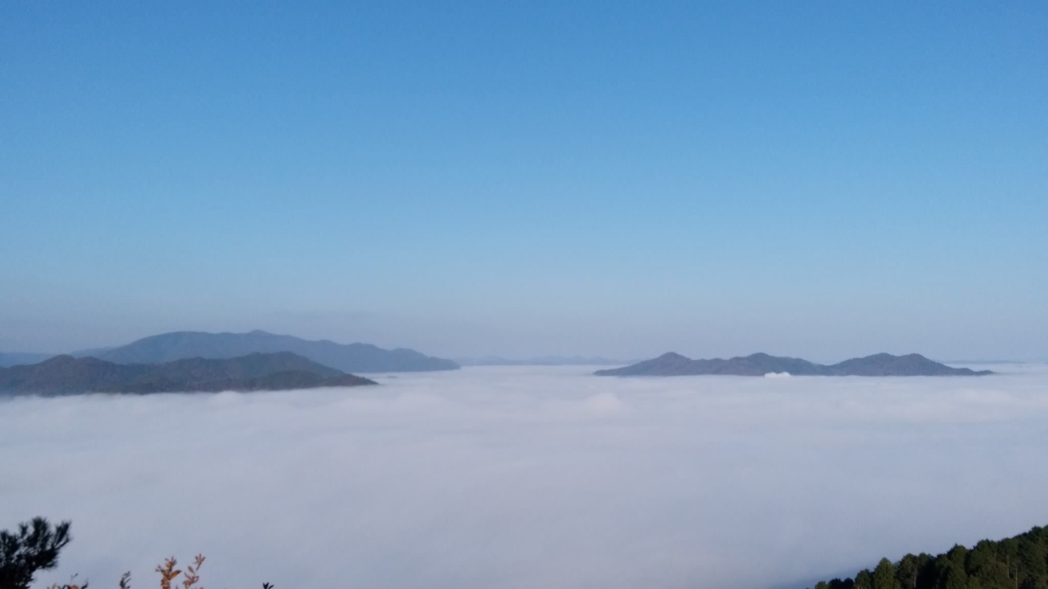 c0264343_235331.jpg
