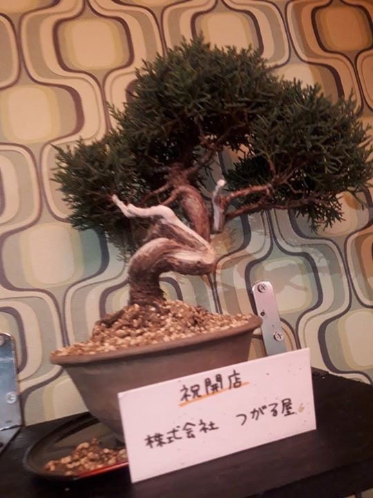 サムライブギー_e0132147_17154269.jpeg